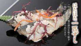 ハタハタ 寿司 鈴木水産 はたはた 一匹ずし700g樽詰（いずし・イズシ）（鰰飯寿司・ハタハタ飯寿司）