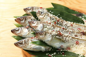 秋田の伝統食　子持ちはたはた三五八漬け　800g（8～10尾位）送料無料