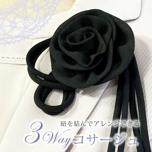 lC tH[}  w  Ǝ Zj[ Ӊ p[eB[  }} X[c r 畞 RT[W ANZT[ ubN  AW 3WAY u[` s t[ 