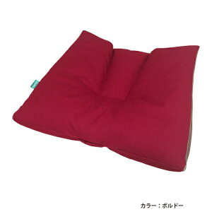  p  zc NbV r[Y r[YNbV C`  p  w w  K ̊ ێ T|[g 炭 y N  J CX \t@[  _CjO CeA 