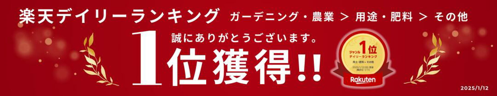 デイリーランキング1位_大バナー