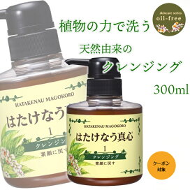 imgrc0199327404.jpg?fitin=272:272