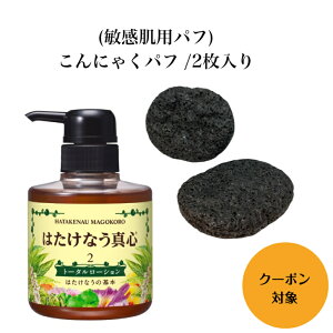͂Ȃ^Syg[^[V300ml ICt[ XLPA [V zϕi q I[C Ƃ ێ }bT[Wp ێ[V XL[V _j Y 