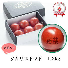 【 母の日 】 とまと 送料無料 ギフト【 名前 入り】【極み】受賞歴3回！ ソムリエ トマト 1.3kg トマトジュース レシピ 高糖度 酸味 フルーツ 野菜 甘い プレゼント ギフト 贈答 贈り物 濃厚 新鮮 美容 健康 効果 栄養 ダイエット 熊本 n1