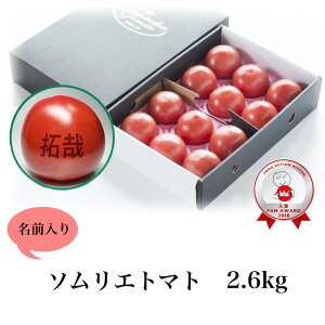 y1珇zƂ܂  Mtgyʍ͔|_Yz_ɂ݁^  ܗ3I \G g}g g}gW[X Vs x _ v`g}g t[c Â v[g 