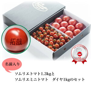 y1珇z Ƃ܂ ~jg}g  Mtg yʍ͔|_Yz_ɂ݁^  \G g}g 1.3kgƃ\G~jg}g1kg̃Zbg g}gW[X v`g}g v[