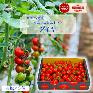 Ƃ܂ g}g  yʍ͔|_Yz \G ~jg}g _C _ƒ g}gW[X x v`g}g t[c v[g Mtg  蕨 _CGbg X[v Ⓚ b