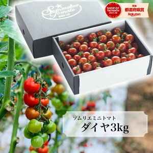 Ƃ܂ g}g  ʌ yʍ͔|_Yz_ɂ݁^ \G ~jg}g _C _ƒ g}gW[X x v`g}g t[c v[g Mtg  蕨 _CGb