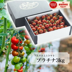 \12珇 Ƃ܂ ~jg}g  ʌ _ɂ݁^yʍ͔|_Yz \G~j g}g v`i _ƒ g}gW[X x v`g}g v[g Mtg 