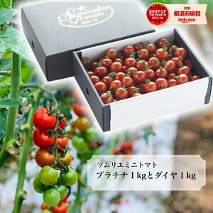 \12珇 Ƃ܂ ~jg}g  ʌ _ɂ݁^yʍ͔|_Yz \G~j g}g v`iƃ_Ce1kg̃Zbg g}gW[X x v`g}g t[c 