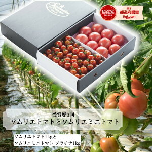 y1珇z Ƃ܂ ~jg}g  yʍ͔|_Yz_ɂ݁^\G g}g 1.3kgƃ\G~jg}g̃Zbg g}gW[X Vs v`g}g t[c  Â 