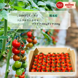 \12珇 Ƃ܂ ~jg}g _ 1000~ |bL  ^yʍ͔|_Yz\G~j g}g v`iƃ_Ce200g̃Zbg  |Xg _ƒ g}gW[X 