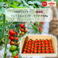 ＼ 予約 ／ とまと ミニトマト 1000円 ポッキリ 送料無料 【特別栽培農産物】 ソムリエミニトマト プラチ…