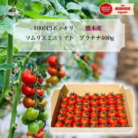 ＼ 予約 ／ とまと ミニトマト 1000円 ポッキリ 送料無料 【特別栽培農産物】 ソムリエミニトマト プラチナ400g お試し ポスト投函 トマト レシピ トマトジュース プチトマト プレゼント ギフト 内祝い ふるさと ネットショッピング ダイエット