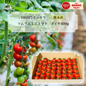 Ƃ܂ ~jg}g _ 1000~ |bL  ^ yʍ͔|_Yz \G~j g}g _C 400g  |Xg _ƒ g}gW[X x v`g}g t[c v[g 