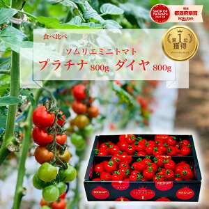 \12珇 fC[LO 1 l Ƃ܂ ~jg}g  ʌ \G~j g}g v`i 800g _C 800g̃Zbg g}gW[X x v`g}g t[