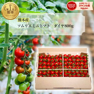 fC[LO1 Ƃ܂ ~jg}g  yʍ͔|_Yz\G~j g}g _C 800g  |Xg ʌ _ƒ g}gW[X x v`g}g t[c 