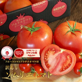 【予約1月末から順次発送】 とまと ミニトマト 送料無料 【特別栽培農産物】受賞歴3回！ 訳あり ソムリエ トマト 1のオマケ トマトジュース プチトマト プレゼント ギフト ダイエット スープ ふるさと 内祝い フルーツ 野菜 甘い 人気 キッチン 秋 冬 冷凍 熊本