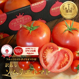 【予約1月末から順次発送】 とまと ミニトマト 送料無料 【特別栽培農産物】受賞歴3回！ 訳あり ソムリエ トマト 2のオマケ トマトジュース プチトマト プレゼント 送料無料 ギフト ダイエット スープ ふるさと 内祝い フルーツ 野菜 甘い 人気 キッチン 秋 冬 冷凍 熊本