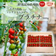 ＼ 半額 26日で今季終了／ とまと ミニトマト 送料無料 【特別栽培農産物】 ソムリエミニトマト プラチナ…