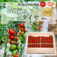 ＼ 半額 20日で今季終了／ とまと ミニトマト 送料無料 【特別栽培農産物】ソムリエミニトマト ダイヤ 80…