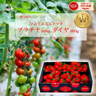 ＼ 半額 20日で今季終了／ とまと ミニトマト 送料無料 【特別栽培農産物】 ソムリエミニトマト プラチナ…
