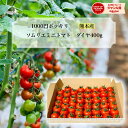 ＼ 予約 ／ とまと ミニトマト 1000円 ポッキリ 送料無料 【特別栽培農産物】 ソムリエミニ トマト ダイヤ 400g お試…