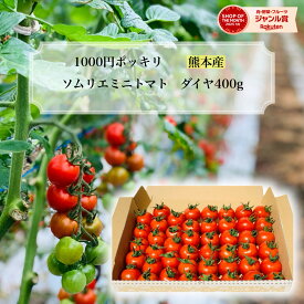 とまと ミニトマト 1000円 ポッキリ 送料無料 【特別栽培農産物】 ソムリエミニ トマト ダイヤ 400g お試し トマトジュース プチトマト プレゼント ギフト ダイエット スープ ふるさと 内祝い フルーツ 野菜 甘い 人気 ポスト投函