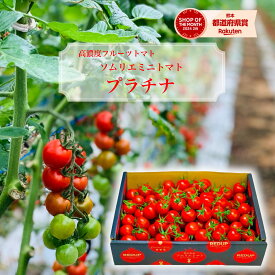 とまと ミニトマト 送料無料 数量限定 【特別栽培農産物】 ソムリエミニ トマト プラチナ トマトジュース プチトマト プレゼント ギフト ダイエット スープ ふるさと クリスマス 内祝い お歳暮 フルーツ 野菜 甘い 人気 キッチン 秋 冬 冷凍 熊本