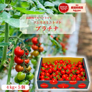 \12珇 Ƃ܂ ~jg}g  ʌ yʍ͔|_Yz \G~j g}g v`i _ƒ g}gW[X x v`g}g t[c v[g Mtg 