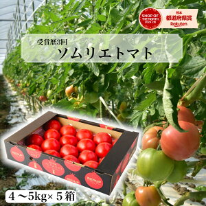 y\1珇z Ƃ܂ ~jg}g  yʍ͔|_Yzܗ3I \G g}g g}gW[X  Vs x _ v`g}g t[c  Â v