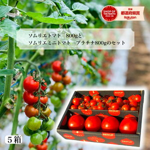 y1珇z Ƃ܂ ~jg}g  yʍ͔|_Yz \G g}g 800g \G~jg}g v`i800g̃Zbg g}gW[X v`g}g v[g Mtg 