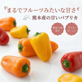 【新商品】 1000円ポッキリ 送料無料 熊本県産 カラフル ミニ パプリカ 240g（18個前後） 種なし 糖度11度超え 生でも甘い お弁当 彩り 野菜 国産 プレゼント ギフト 内祝い ふるさと 楽天市場 フルーツ 冷凍 セール 赤 黄 父の日 ポスト投函 カラー