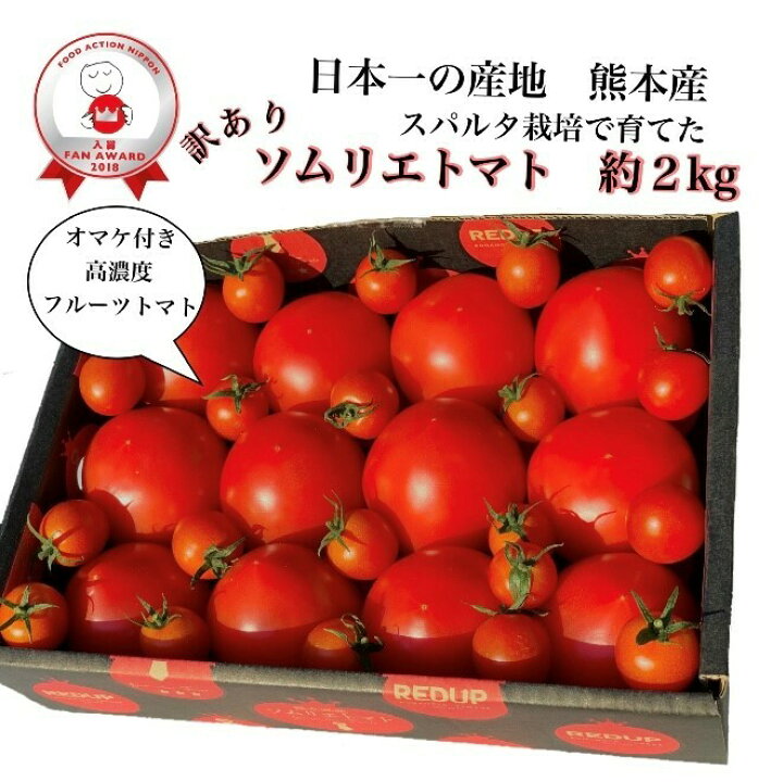 楽天市場 予約 とまと ミニトマト 受賞歴３回 訳あり ソムリエ トマト2kg 8玉 16玉 1のオマケ 希少 な 高濃度 フルーツ トマト 熊本 送料無料 甘い 美容 トマトジュース 高糖度 濃厚 塩トマト グルメ プレゼント ギフト 野菜 家庭 贈答 贈り物 高級