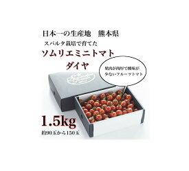 【 母の日 】 とまと ミニトマト 送料無料 【極み】酸味が少ない フルーツ トマト ソムリエミニトマト ダイヤ トマトジュース レシピ 高糖度 酸味 プチトマト フルーツ 野菜 甘い プレゼント ギフト 贈答 贈り物 濃厚 新鮮 美容 健康 効果 s2