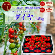 ＼予約 plus1／ 1個買うと1個無料 とまと ミニトマト 送料無料 【 特別栽培農産物 】ソムリエミニトマト …