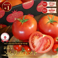 ＼ 予約 plus1／ 1個買うと1個無料 とまと ミニトマト 送料無料 【特別栽培農産物】受賞歴3回！ 訳あり …