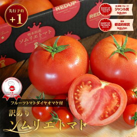 ＼ 予約 plus1／ 1個買うと1個無料 とまと ミニトマト 送料無料 【特別栽培農産物】受賞歴3回！ 訳あり ソムリエ トマト2のオマケ トマト レシピ トマトジュース プチトマト プレゼント ギフト 内祝い ダイエット ふるさと 楽天市場 ネットショッピング セール スープ