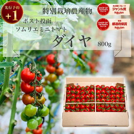 ＼予約 plus1／ 1個買うと1個無料 とまと ミニトマト 送料無料 【特別栽培農産物】ソムリエミニトマト ダイヤ 800g トマト レシピ トマトジュース プチトマト プレゼント ギフト 内祝い ダイエット ふるさと 楽天市場 sale セール プチギフト ポスト投函