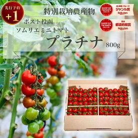 ＼ 予約 plus1／ 1個買うと1個無料 とまと ミニトマト 送料無料 【特別栽培農産物】 ソムリエミニトマト プラチナ800g トマト レシピ トマトジュース プチトマト プレゼント ギフト 内祝い ふるさと 楽天市場 ネットショッピング sale セール プチギフト ポスト投函