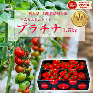 デイリーランキング1位 とまと ミニトマト 送料無料 【特別栽培農産物】ソムリエミニトマト プラチナ1.5k…