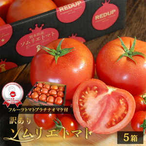 y\1珇z Ƃ܂ ~jg}g  yʍ͔|_Yzܗ3I 󂠂 \G g}g 1̃I}P g}gW[X v`g}g v[g Mtg _CGbg X[