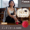 【公式】 HATACHI スッキリボール RelaxingWork リラクシングワーク | 羽立工業 ハタチ マッサージボール ツボ押し コリ改善 足裏 ふくらはぎ 脚 腰 コリほぐし 癒やし 青竹踏み ストレッチ リラックス プレゼント 母の日 父の日