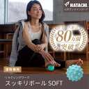 【公式】 HATACHI スッキリボールSOFT RelaxingWork リラクシングワーク | 羽立工業 ハタチ マッサージ ボール グッズ 足裏 ふくらはぎ 脚 腰 肩 ツボ押し コリ ほぐし 癒やし リラックス ギフト プレゼント 母の日 父の日