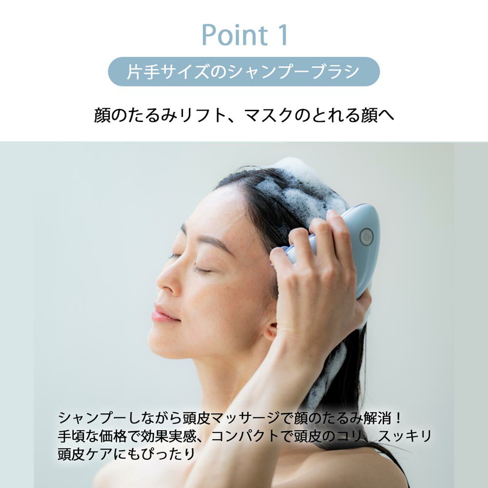 頭皮マッサージ器ヘッドブラシ電動ヘッドマッサージヘッドマッサージャー充電式防水IPX7母の日プレゼントギフトリセット＆エナジーヘッドブラシブルーHATACHI（ハタチ）羽立工業