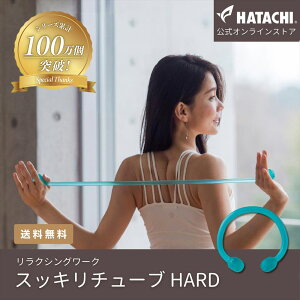�y�����z HATACHI �X�b�L���`���[�uHARD �X�b�L���`���[�u�n�[�h RelaxingWork�i�����N�V���O���[�N�jNH3500 �H���H�Ɓi�n�^�`�j�b�������� �M�t�g �v���[���g ��̓� ���̓�