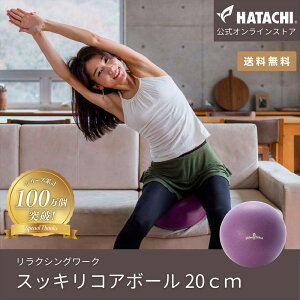 �y�����z HATACHI �o�����X�{�[�� 20cm �X�b�L���R�A�{�[�� RelaxingWork �����N�V���O���[�N NH3601 �H���H�Ɓi�n�^�`�j�b�������� ���K�{�[�� �G�N�T�T�C�Y �_�C�G�b�g �؃g�� �g���[�j���O �̊� 