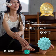 【公式】 HATACHI スッキリボールSOFT RelaxingWork リラクシングワーク | 羽立工業 ハタチ マッサージ …