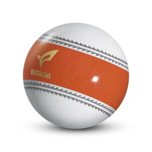 yz HATACHI 2024Nf p[NSt {[ irQ[V{[ | HH n^` p[NStpi ]  3s[X {[ v[g X|[c ̓ hV̓