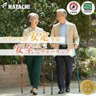 【公式】 HATACHI DFPプログレッシブズーム2 ノルディックウォーキング ポール | 羽立工業 ハタチ ウォー…